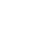 Pictogramme-Globe-1