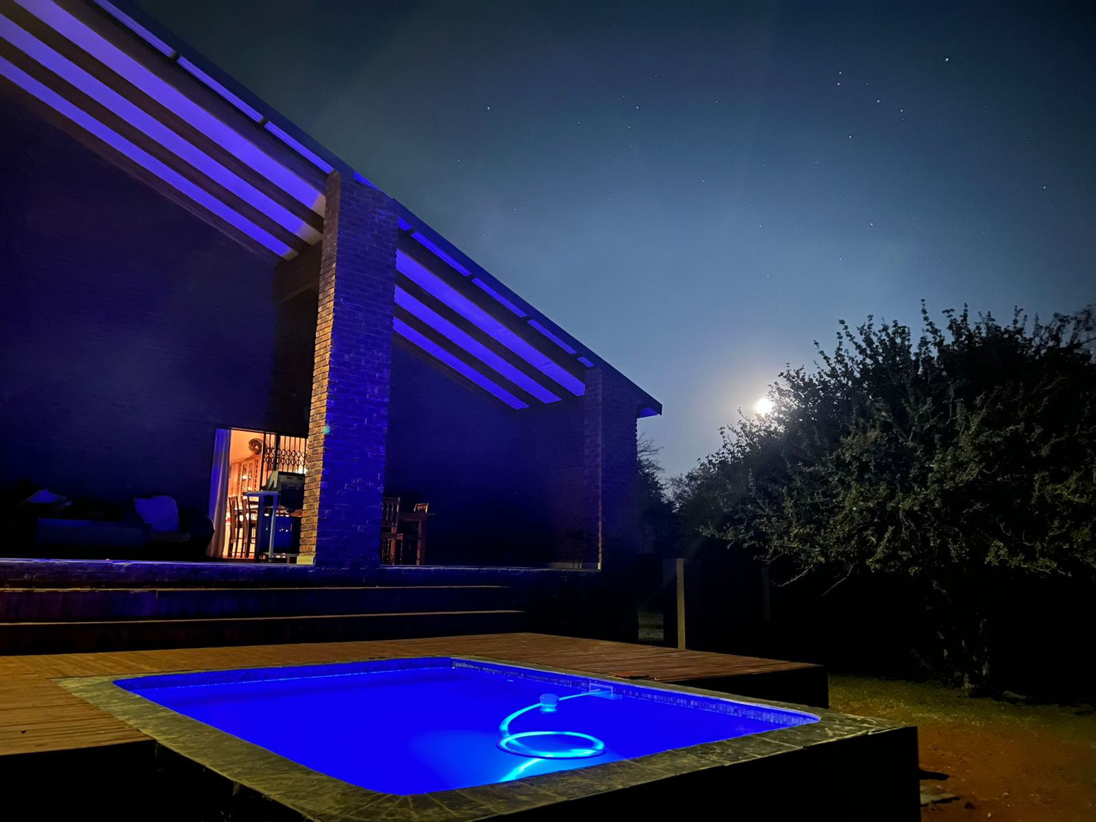 chasse-afriquedusud-chassatlas.jpg Piscine nocturne en Afrique du Sud