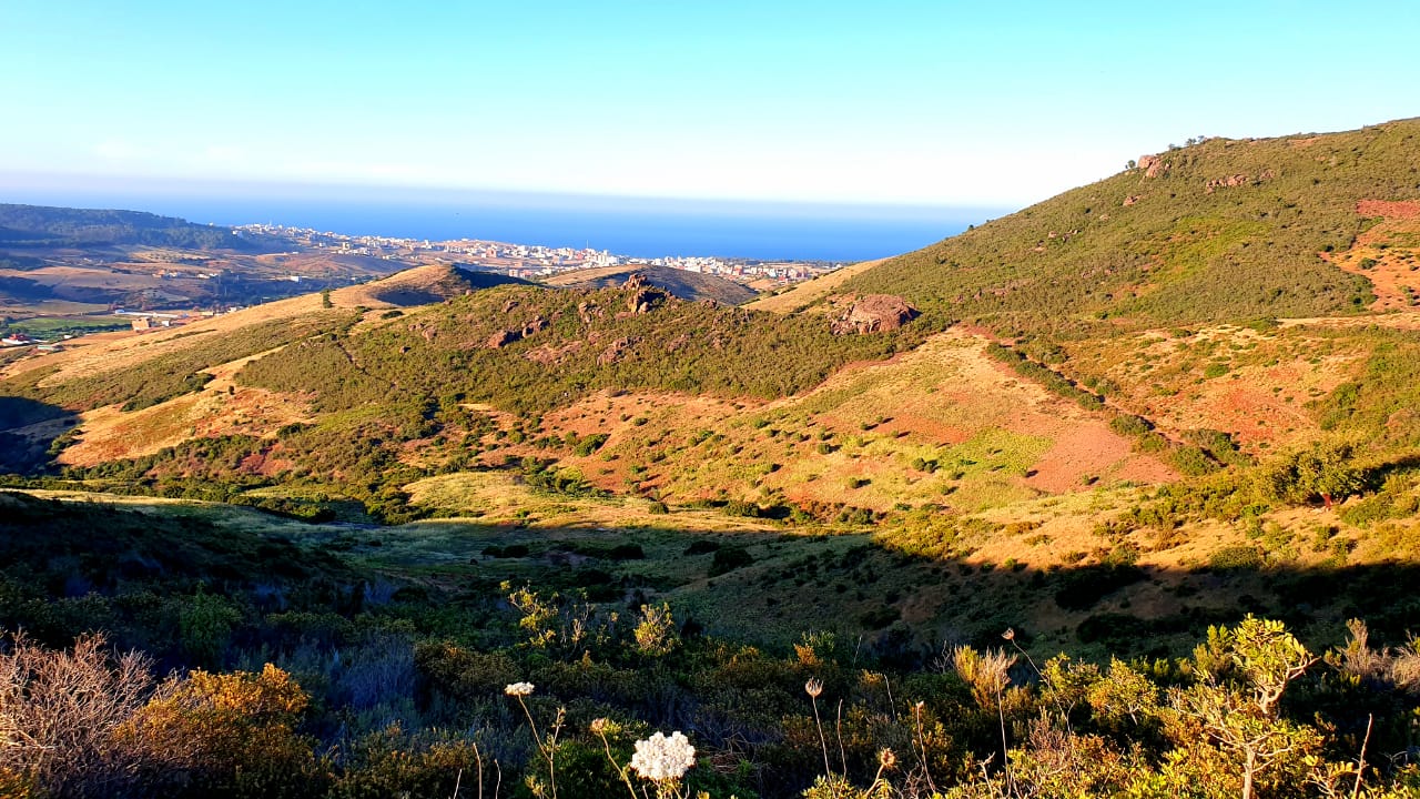 maroc-tourterelle-chasse-chassatlas Paysage au Maroc