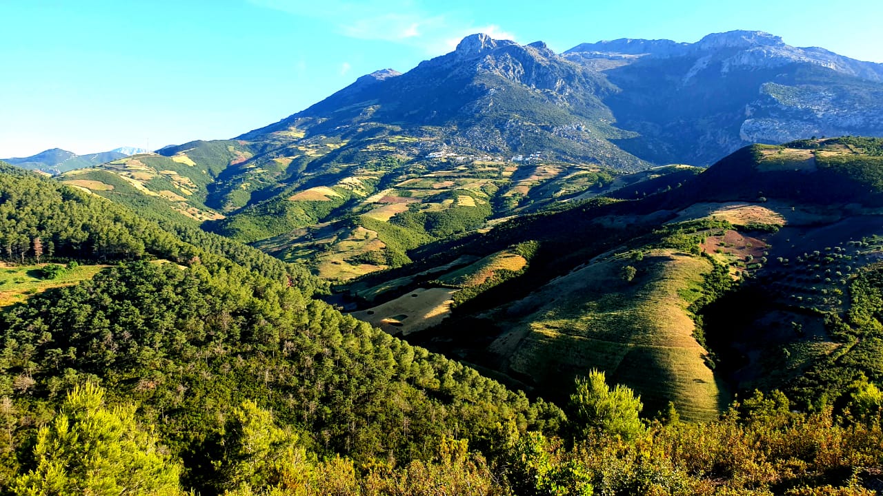 maroc-sanglier-chasse-battue-chassatlas.jpeg Paysage montagneux du Maroc