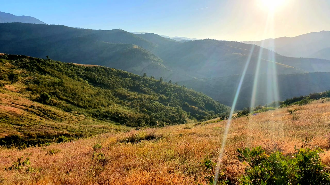 maroc-tourterelle-chasse-chassatlas Paysage au Maroc
