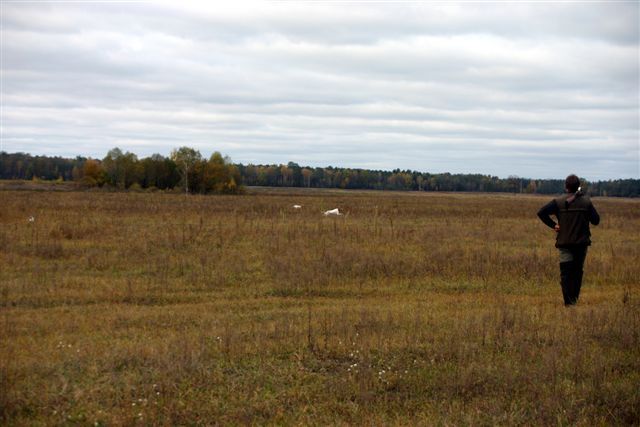 Scène de chasse en Bulgarie