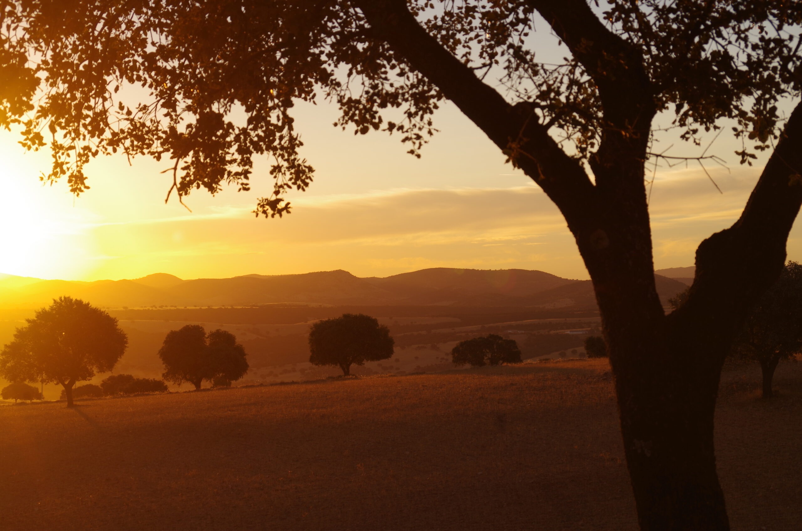 Coucher de soleil espagnol