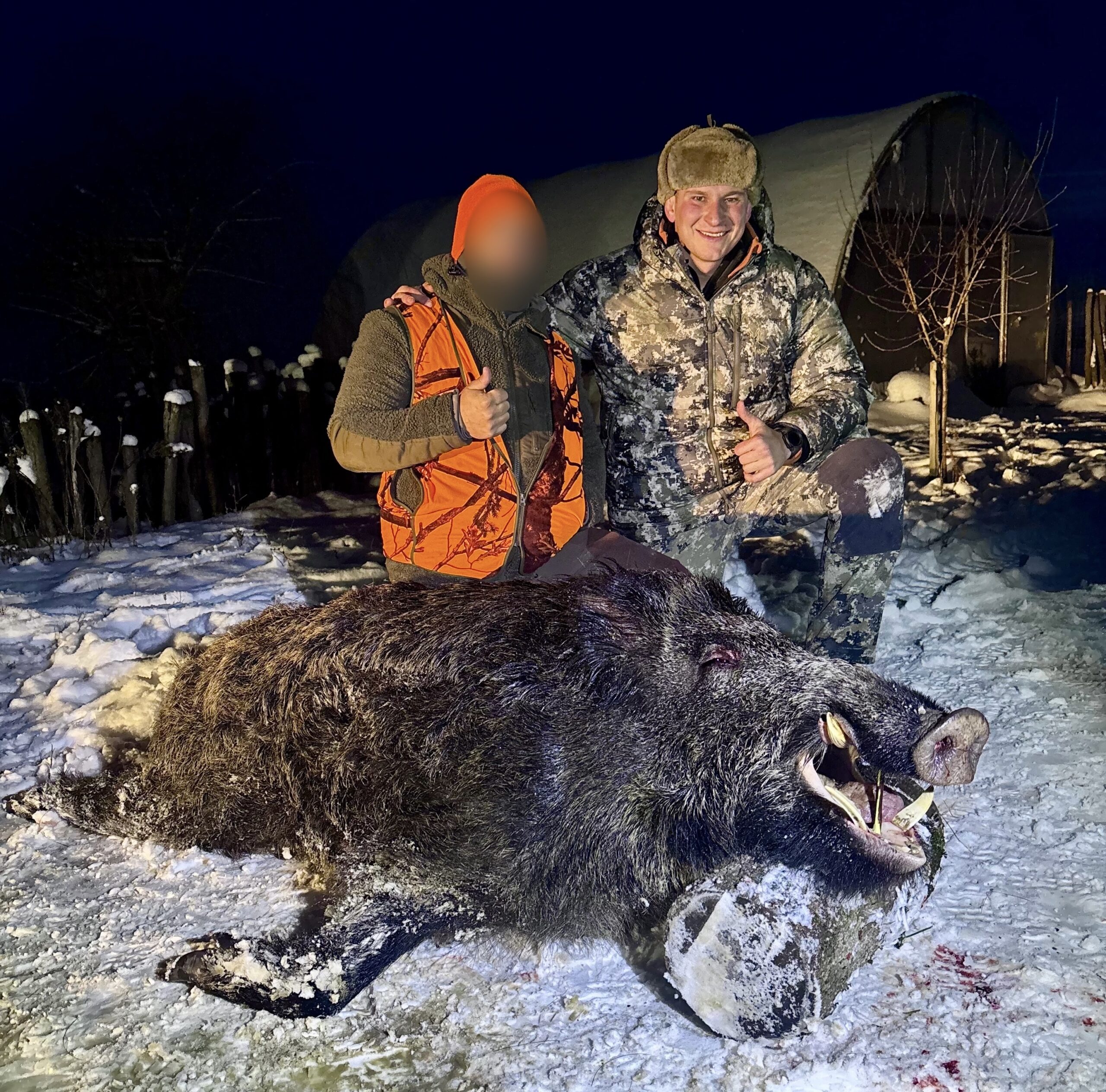 roumanie-sanglier-battue-chasse-chassatlas.jpeg Trophée de sanglier en Roumanie