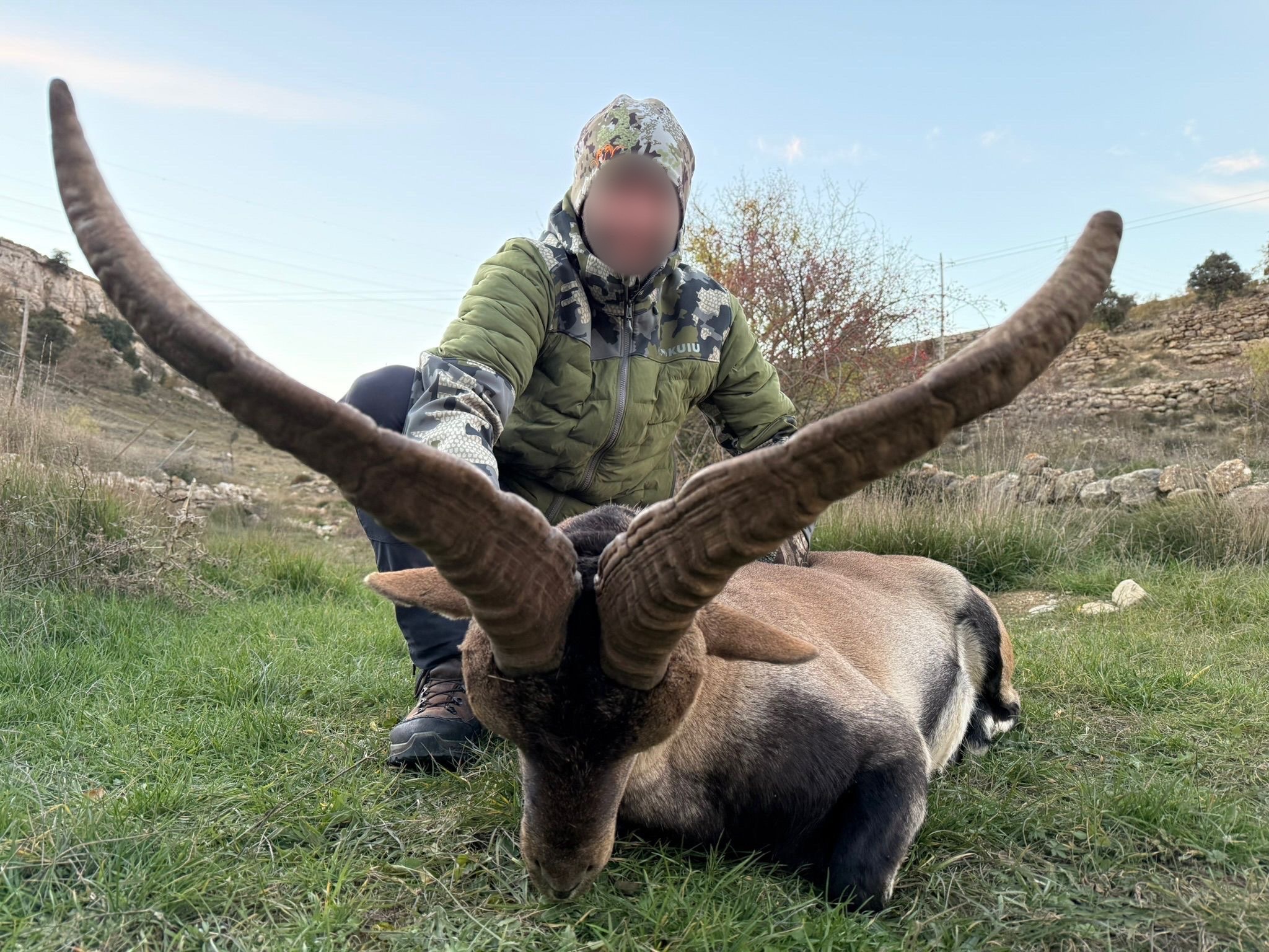 Ibex beceite en Espagne
