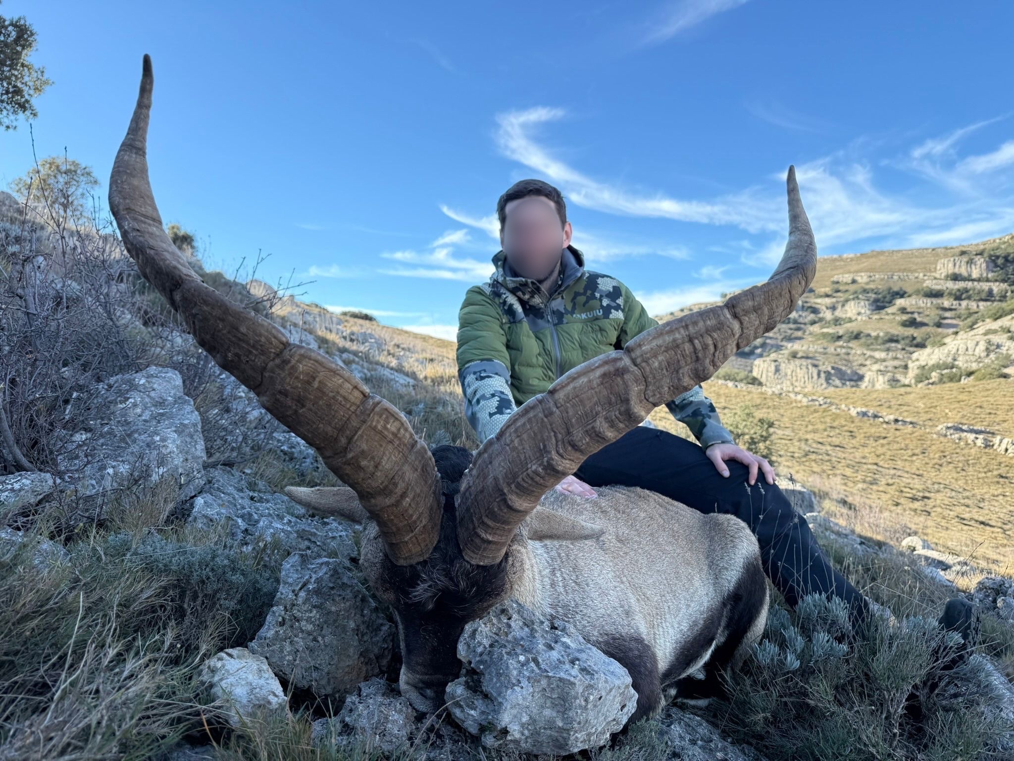 Ibex beceite en Espagne