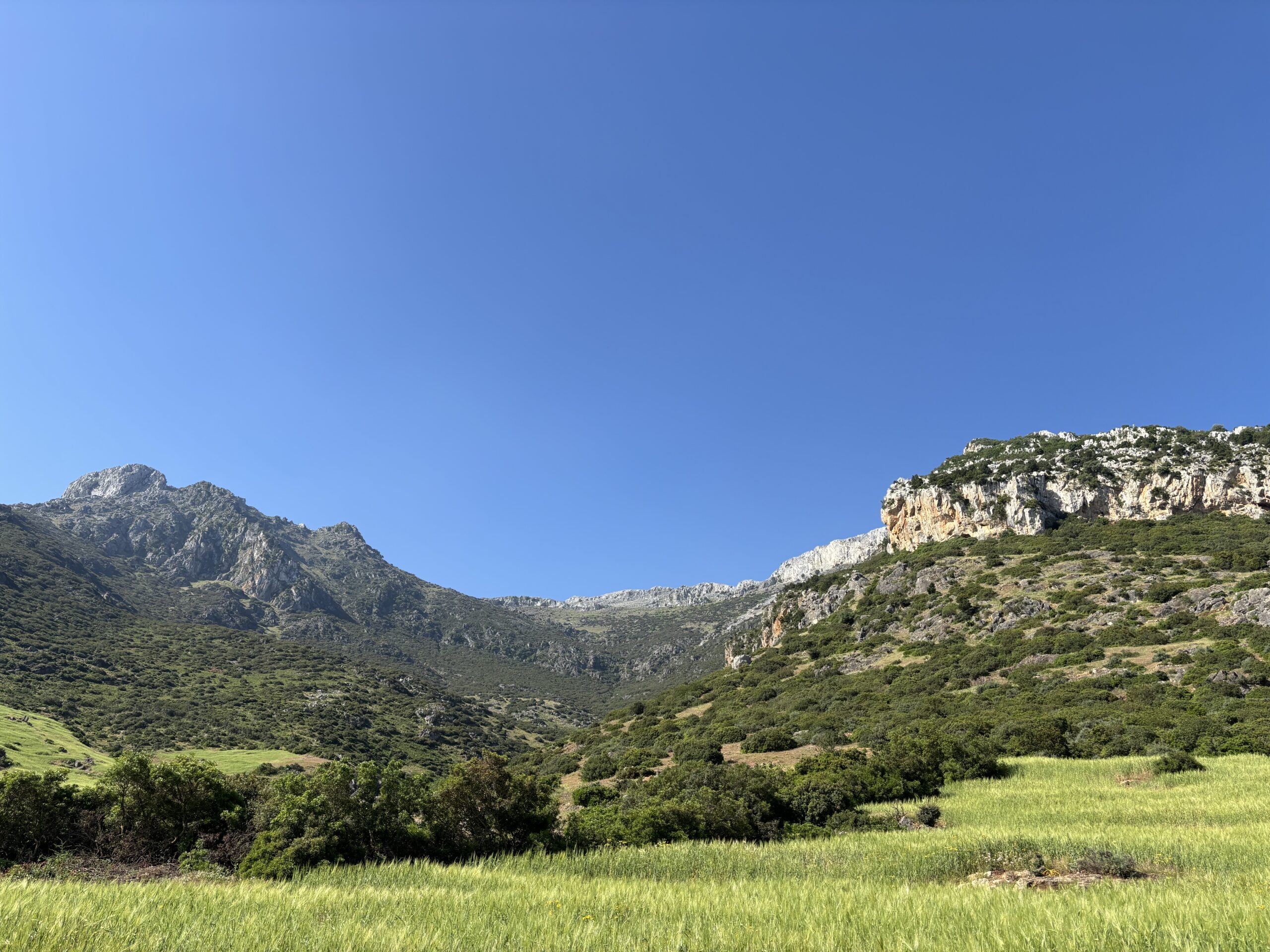 maroc-sanglier-battue-chasse-chassatlas.jpeg Paysage montagneux du Maroc