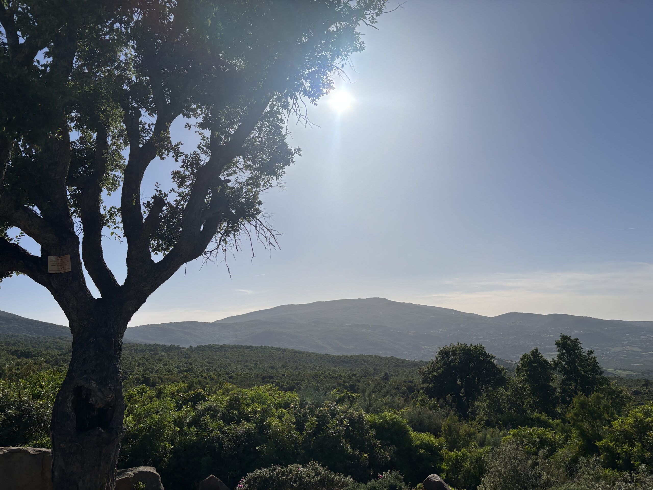 maroc-tourterelle-chasse-chassatlas Vue magnifique au Maroc