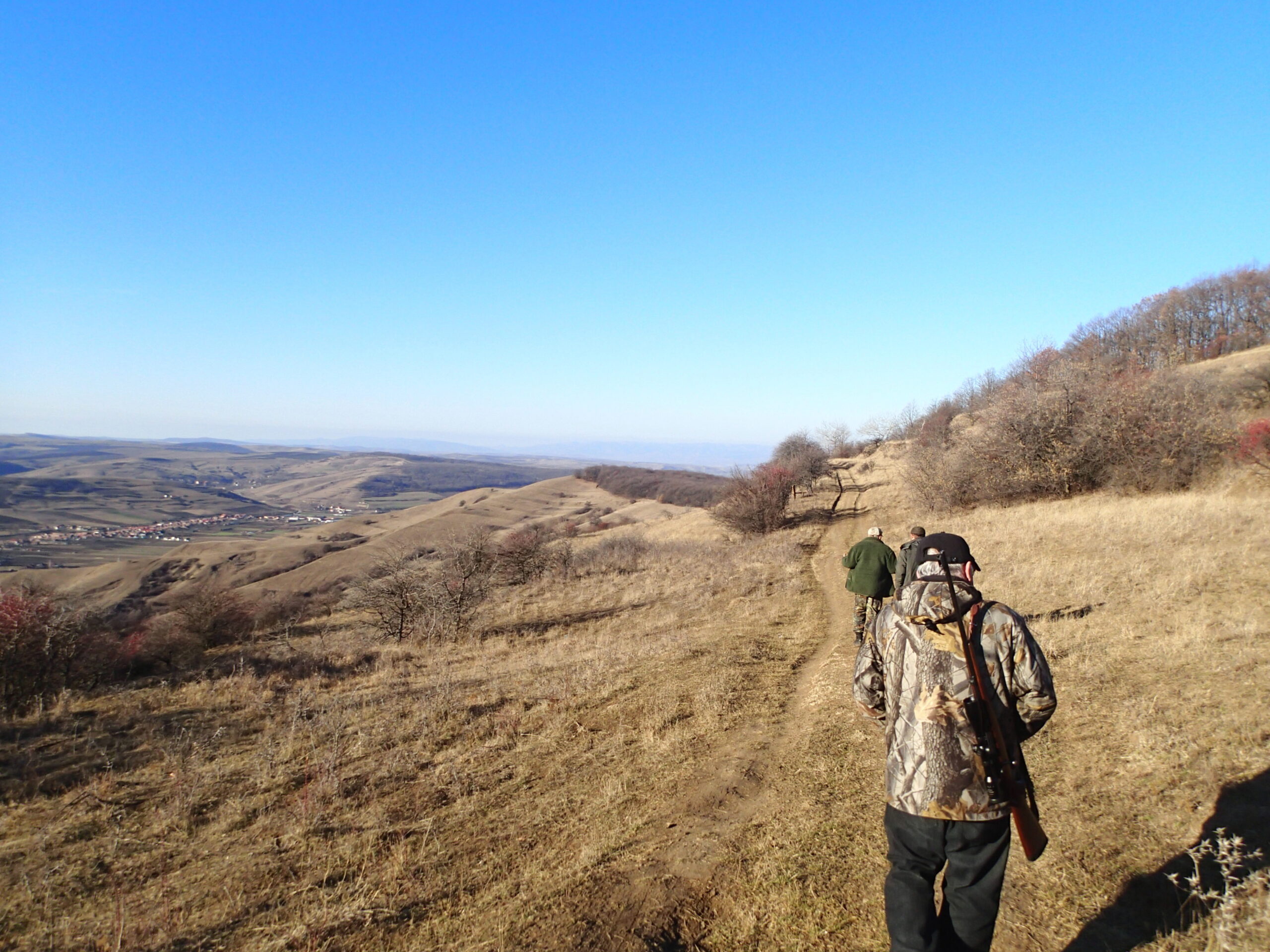 roumanie-sanglier-battue-chasse-chassatlas.jpeg Paysage en Roumanie