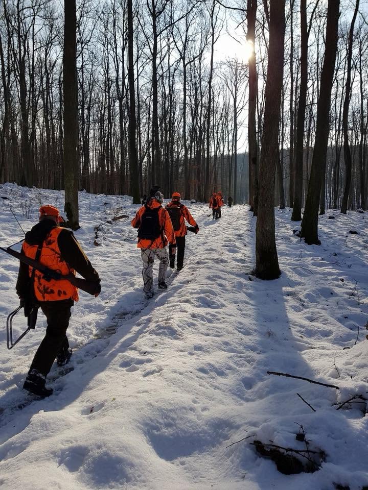 sanglier-battue-slovaquie-chasse-chassatlas.jpeg Chasse en battue en Slovaquie