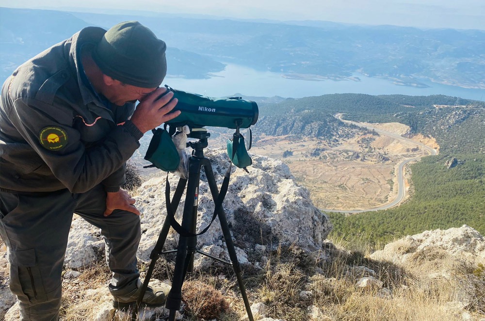 ibex-bezoar-trophy-hunt-chasse-chassatlas.jpeg Obesvation d'ibex bezoard en Turquie