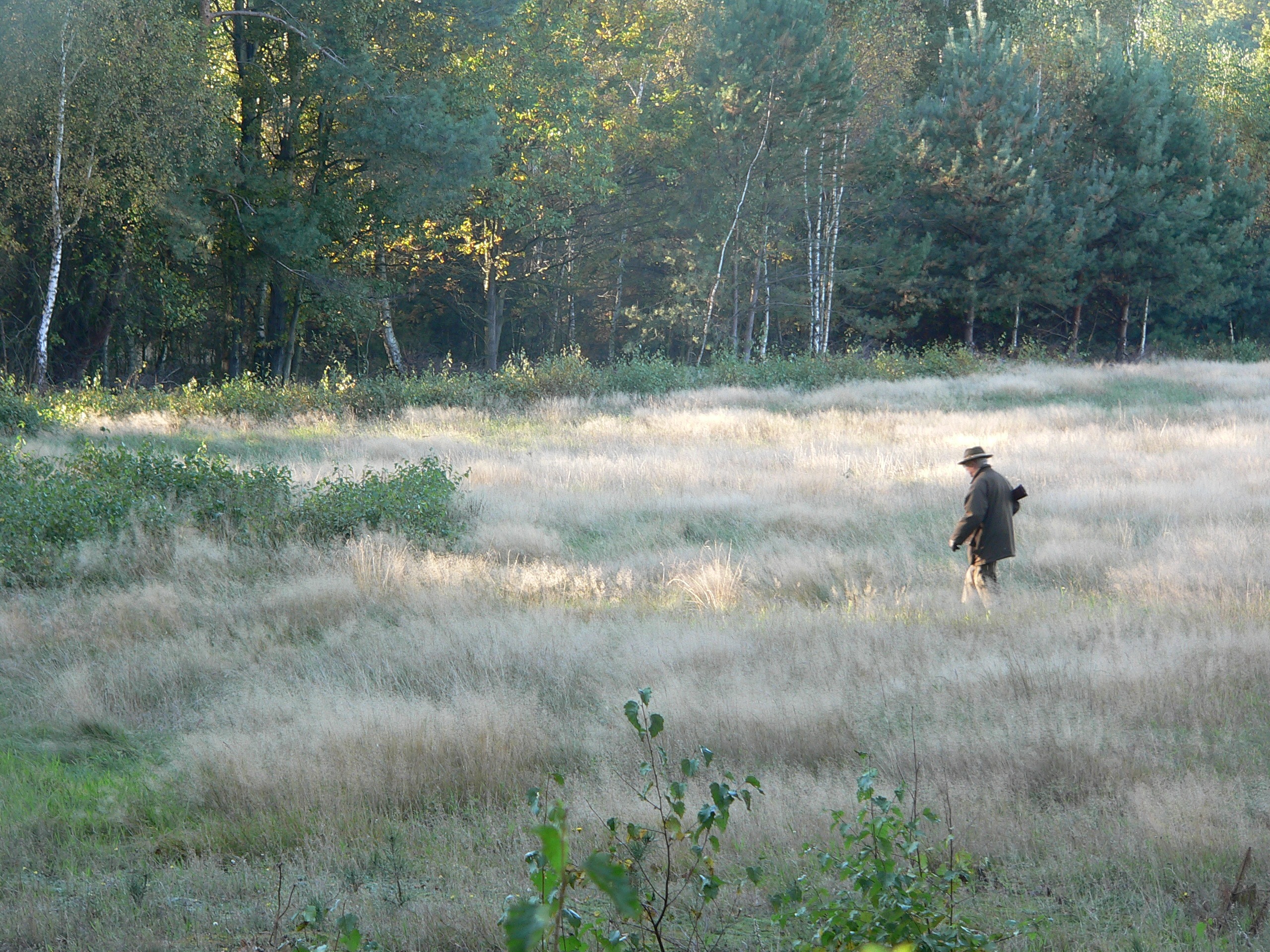 Pologne chasse à l'approche